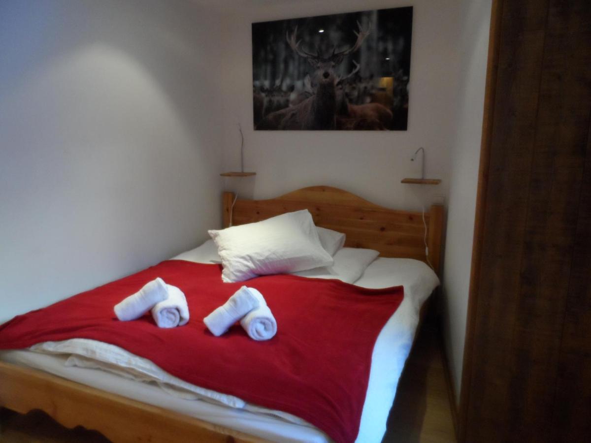 Prachtig Familie Appartement Voor 6 Personen In Het Hart Van Argentiere, Chamonix Mont-Blanc Zewnętrze zdjęcie